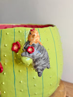 The Chubby Cat Cactus Garden — image 12