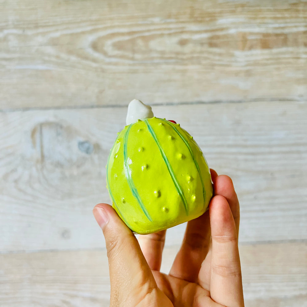 Cactus Dumpling Head, photo 4 of 8