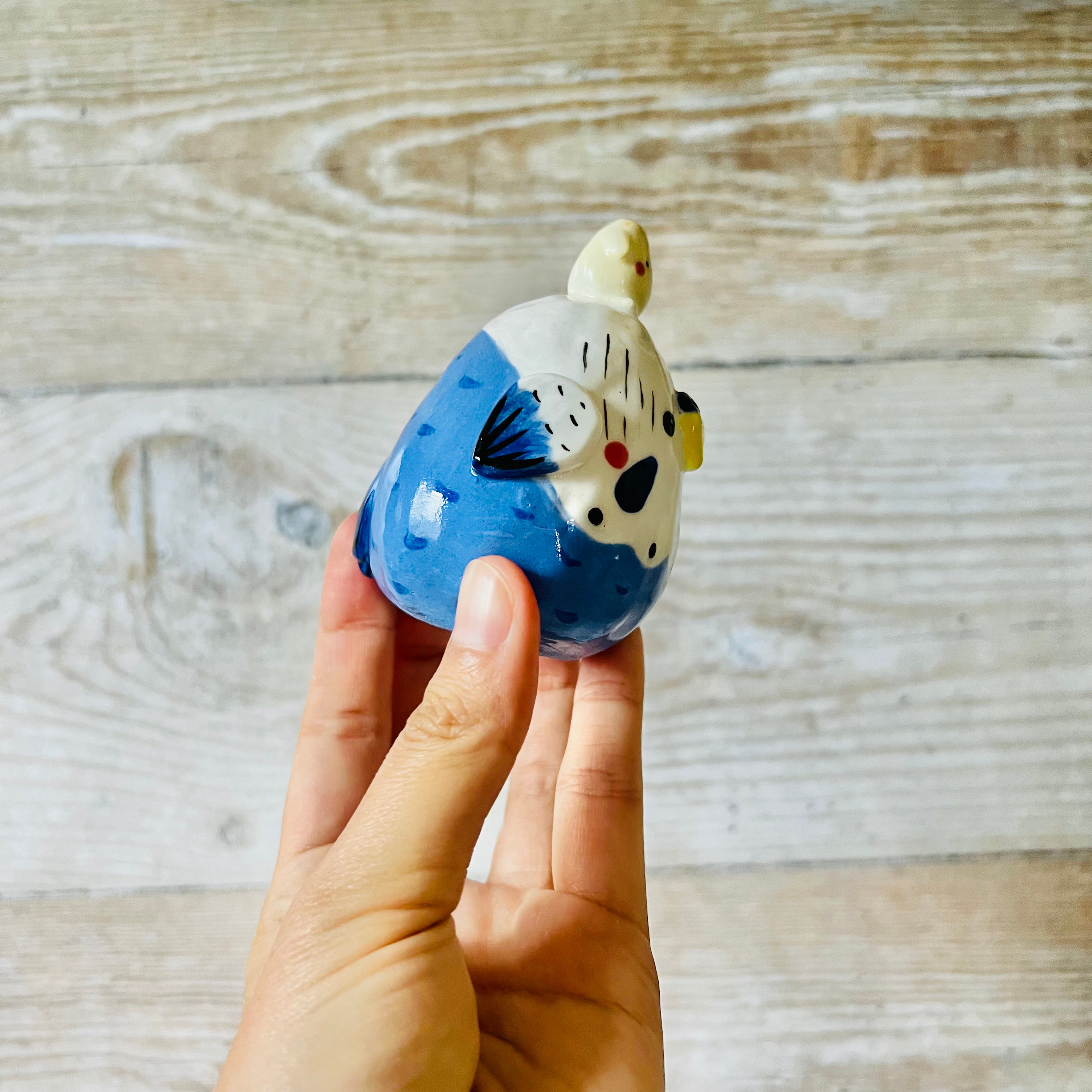 Blue and White Budgie Dumpling Head