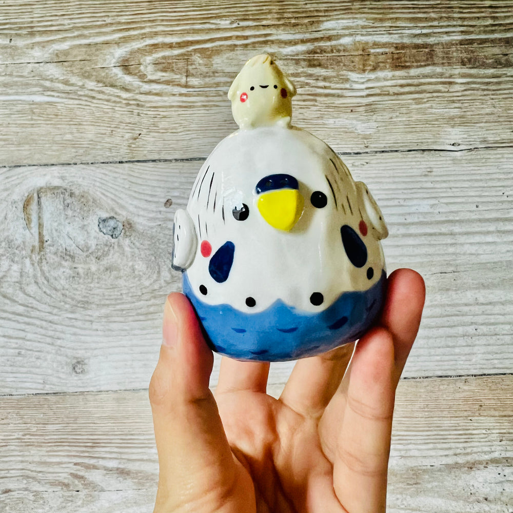 Blue and White Budgie Dumpling Head, photo 5 of 7