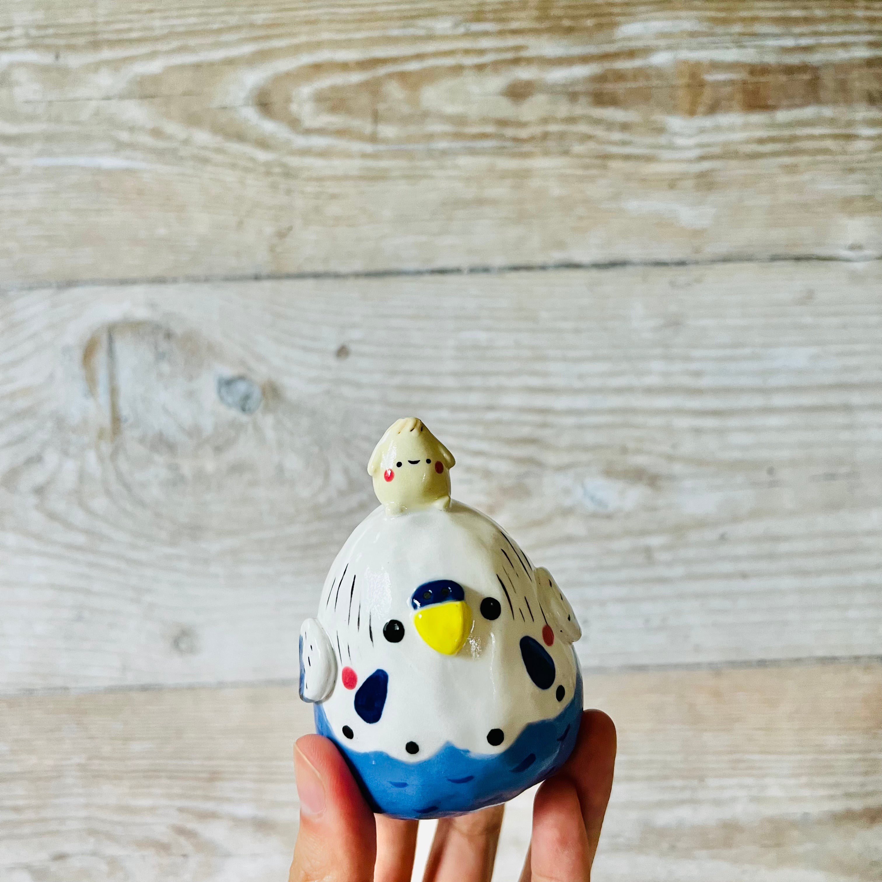 Blue and White Budgie Dumpling Head