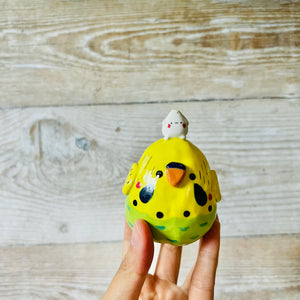 Green and Yellow Budgie Dumpling Head