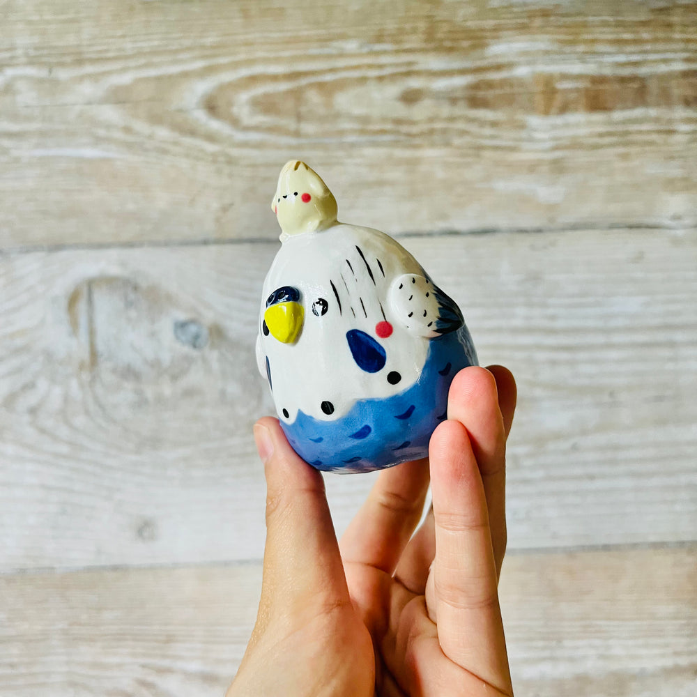 Blue and White Budgie Dumpling Head, photo 6 of 7