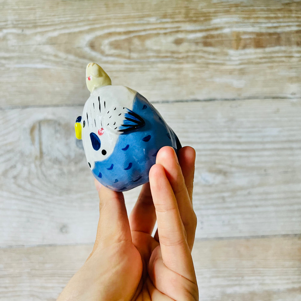 Blue and White Budgie Dumpling Head, photo 3 of 7