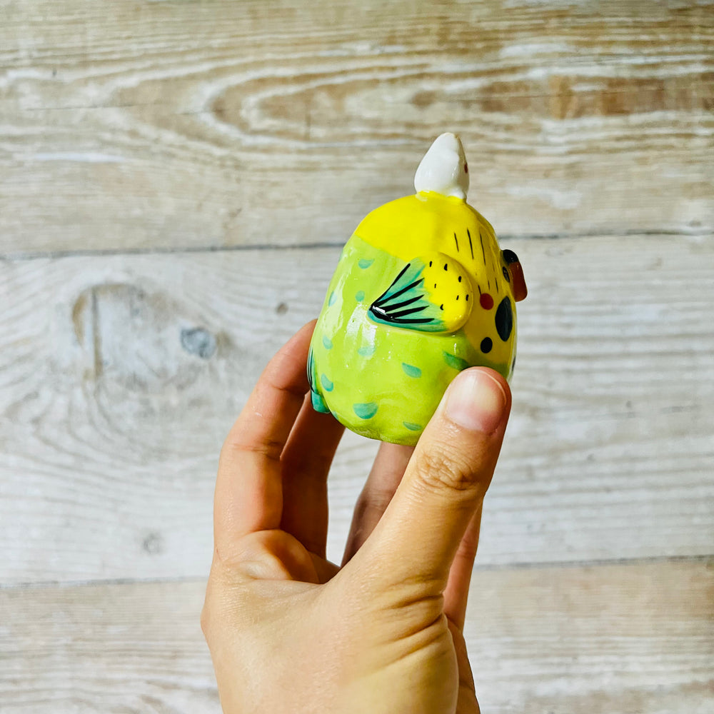 Green and Yellow Budgie Dumpling Head, photo 4 of 7