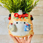 Flower crown Ginger cat pot with Totoro Friends