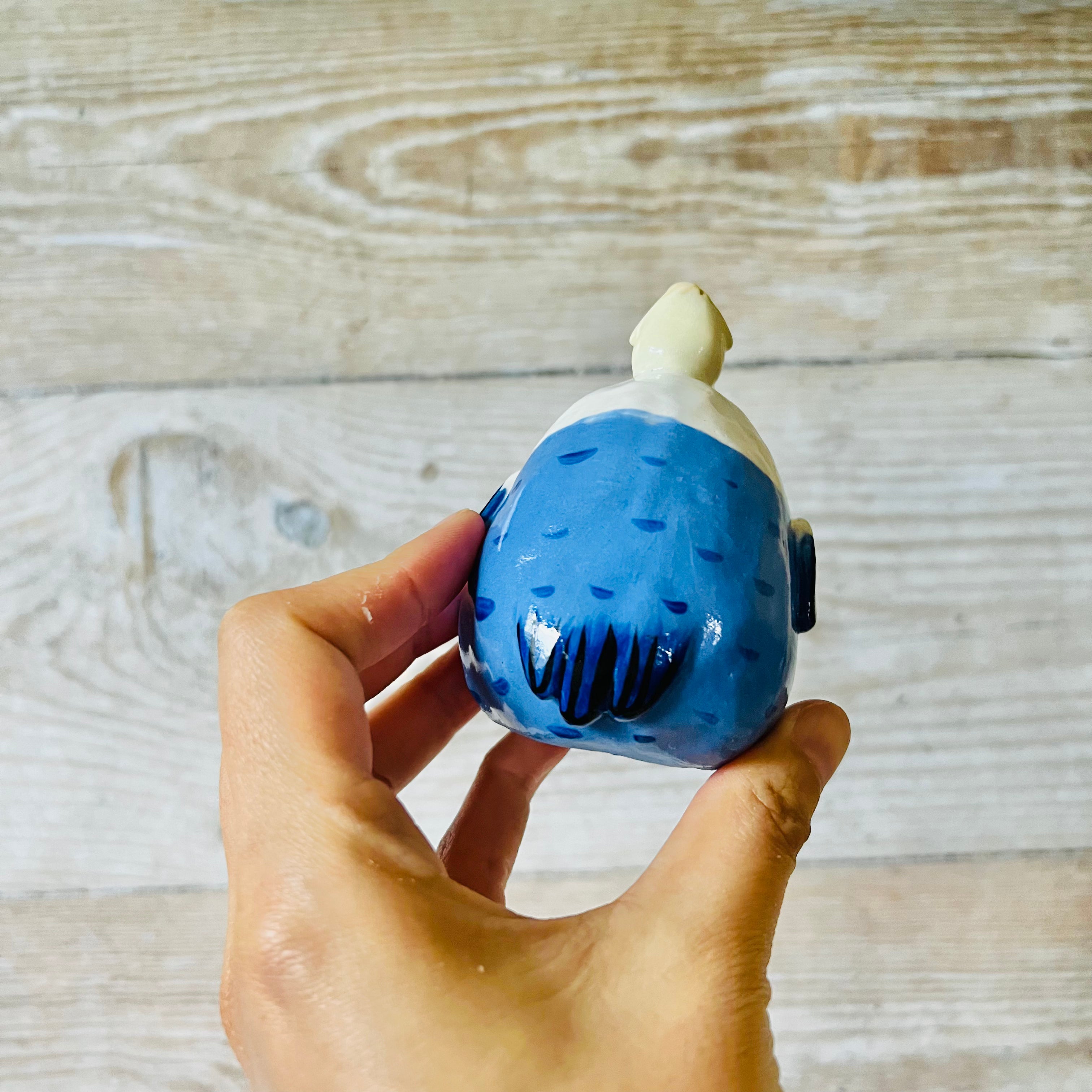 Blue and White Budgie Dumpling Head