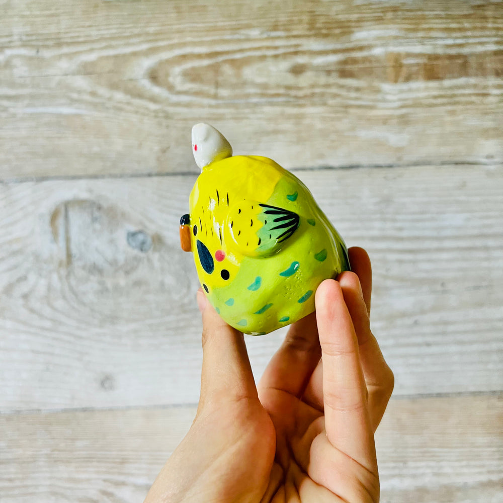 Green and Yellow Budgie Dumpling Head, photo 5 of 7