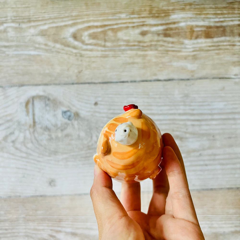 Ginger Cat Dumpling Head, photo 5 of 7