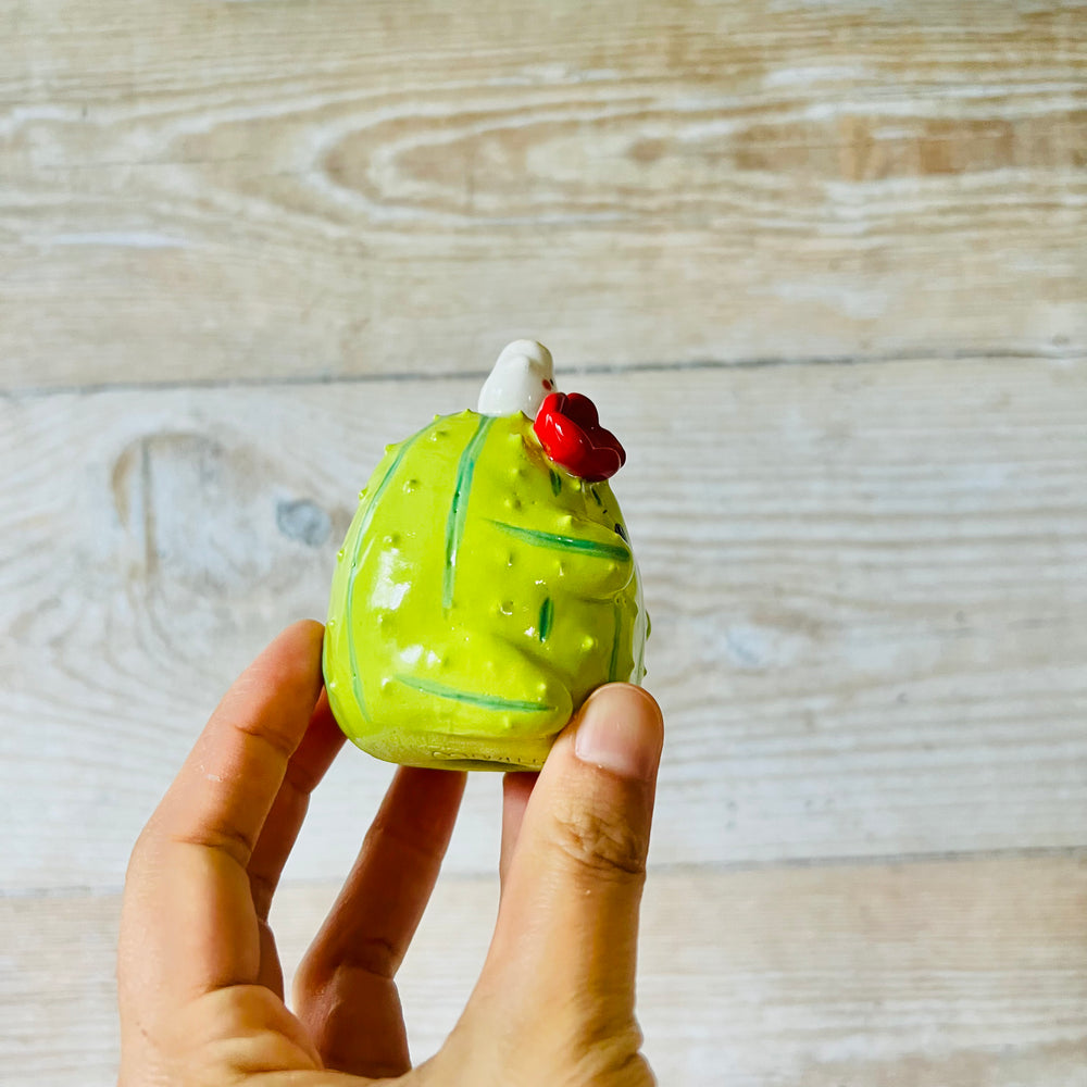 Cactus Dumpling Head, photo 7 of 8