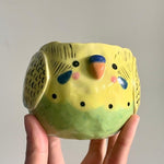 PRE-ORDER Yellow and Green Budgie Pot