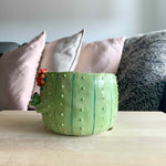 Flower crown Cactus mama with Cactus baby - Light Green