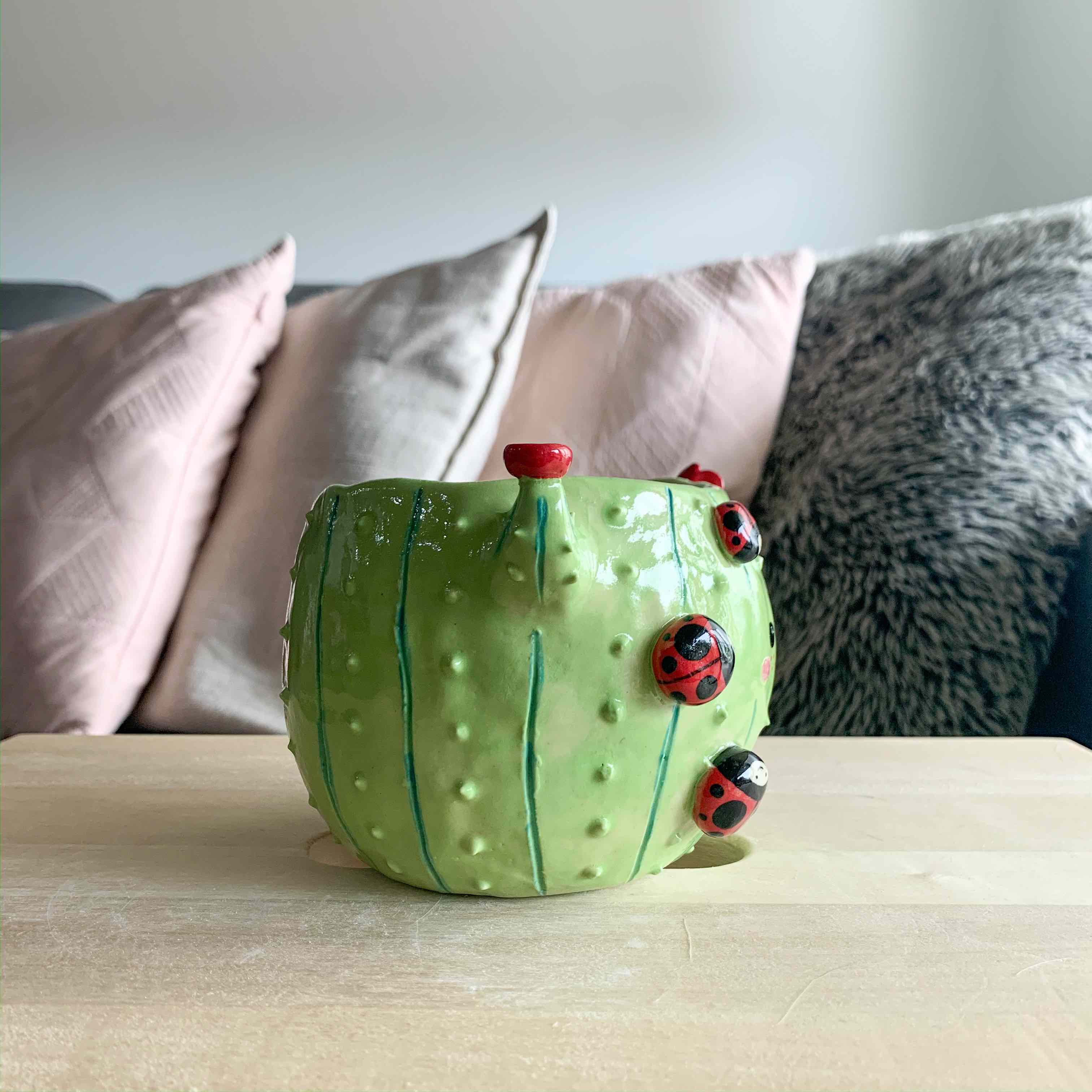 Flowery cactus pot with Ladybug friends