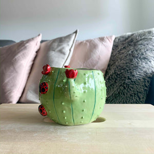 Flowery cactus pot with Ladybug friends