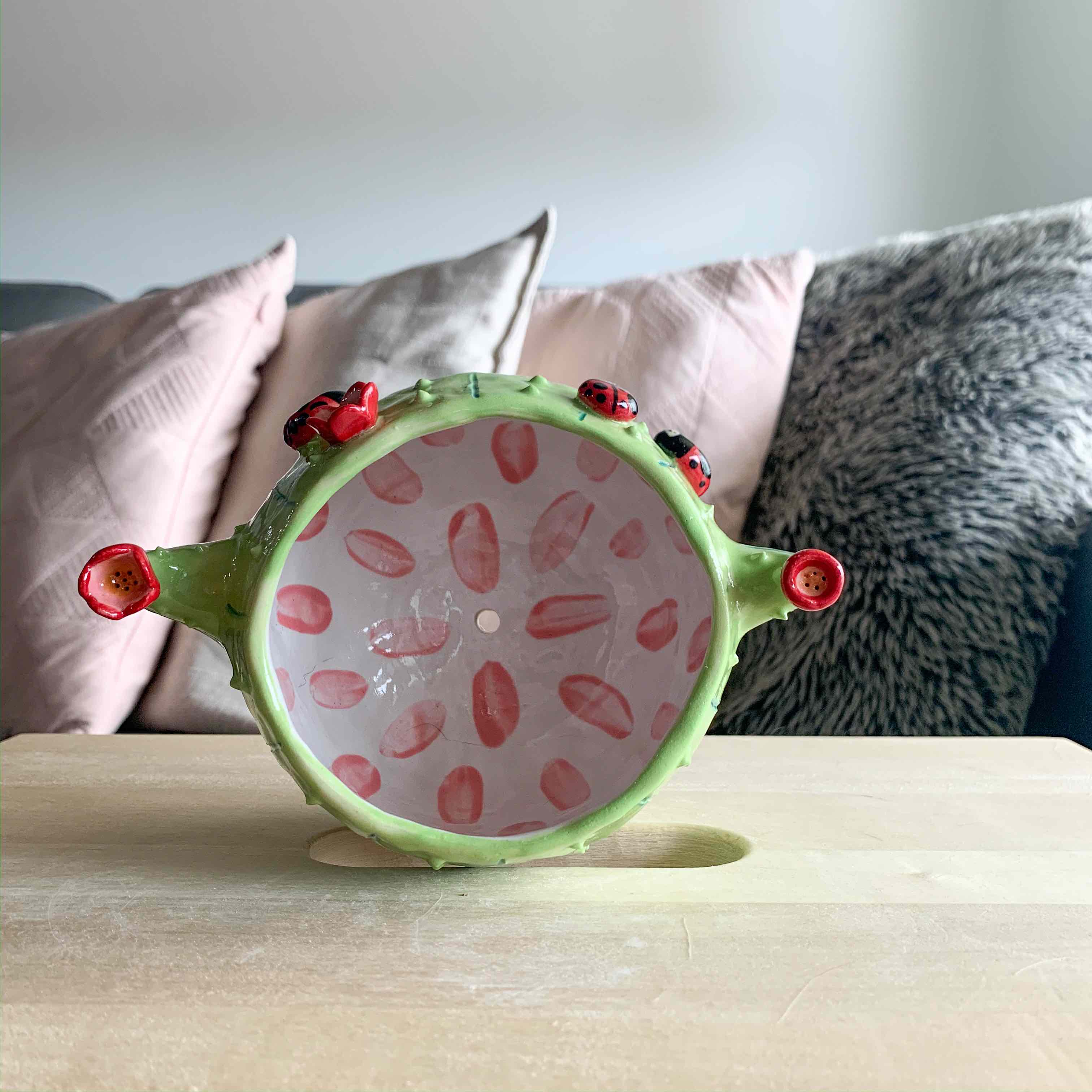 Flowery cactus pot with Ladybug friends