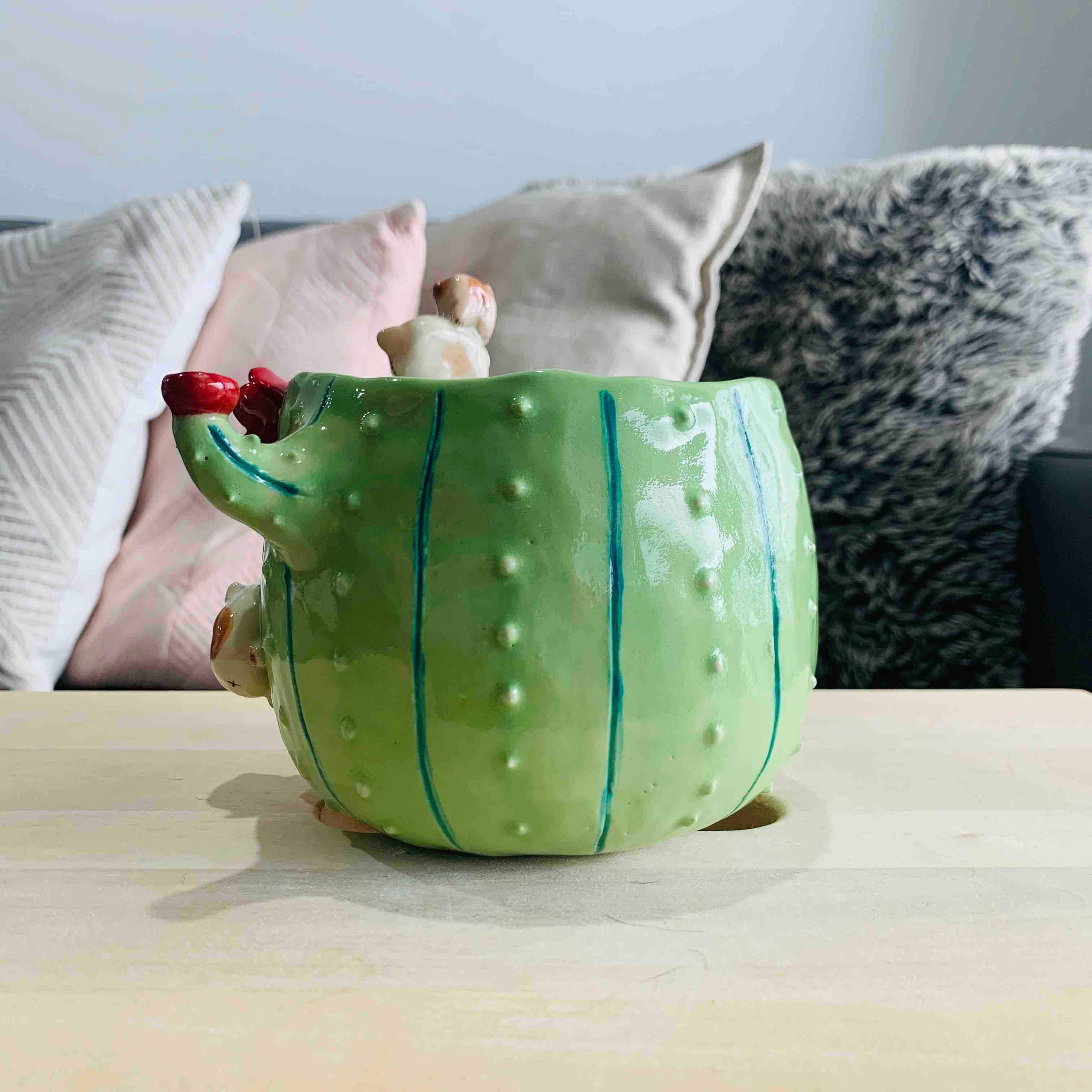 Flowery Cactus Pot with Cat Friends