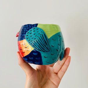 Rainbow lorikeet pot