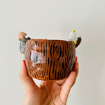 ‘Aussie Hope’ pot