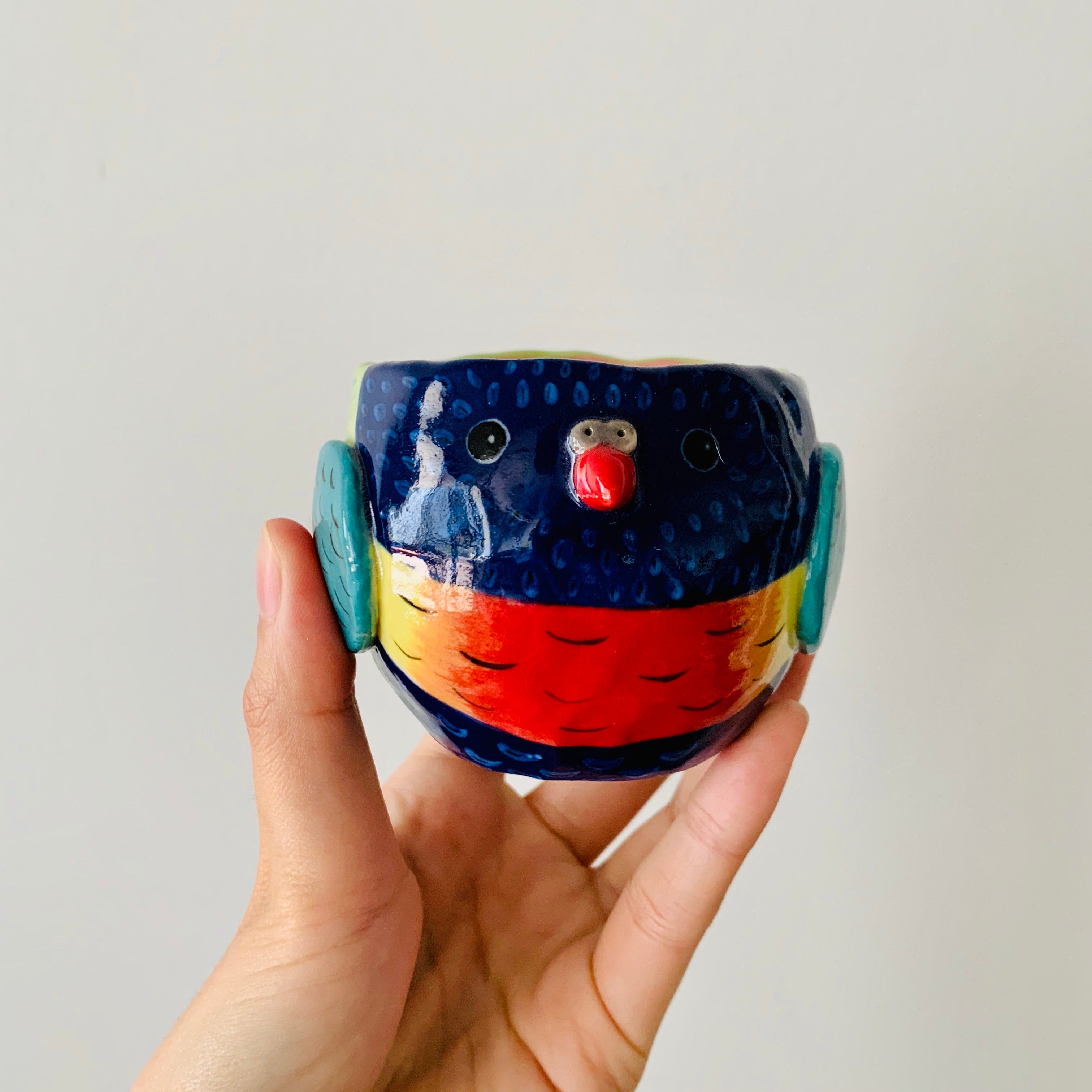 Rainbow lorikeet pot