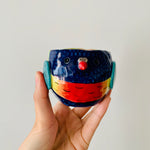 Rainbow lorikeet pot