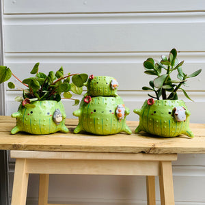 Rotund flowery cactus pot with cat friend