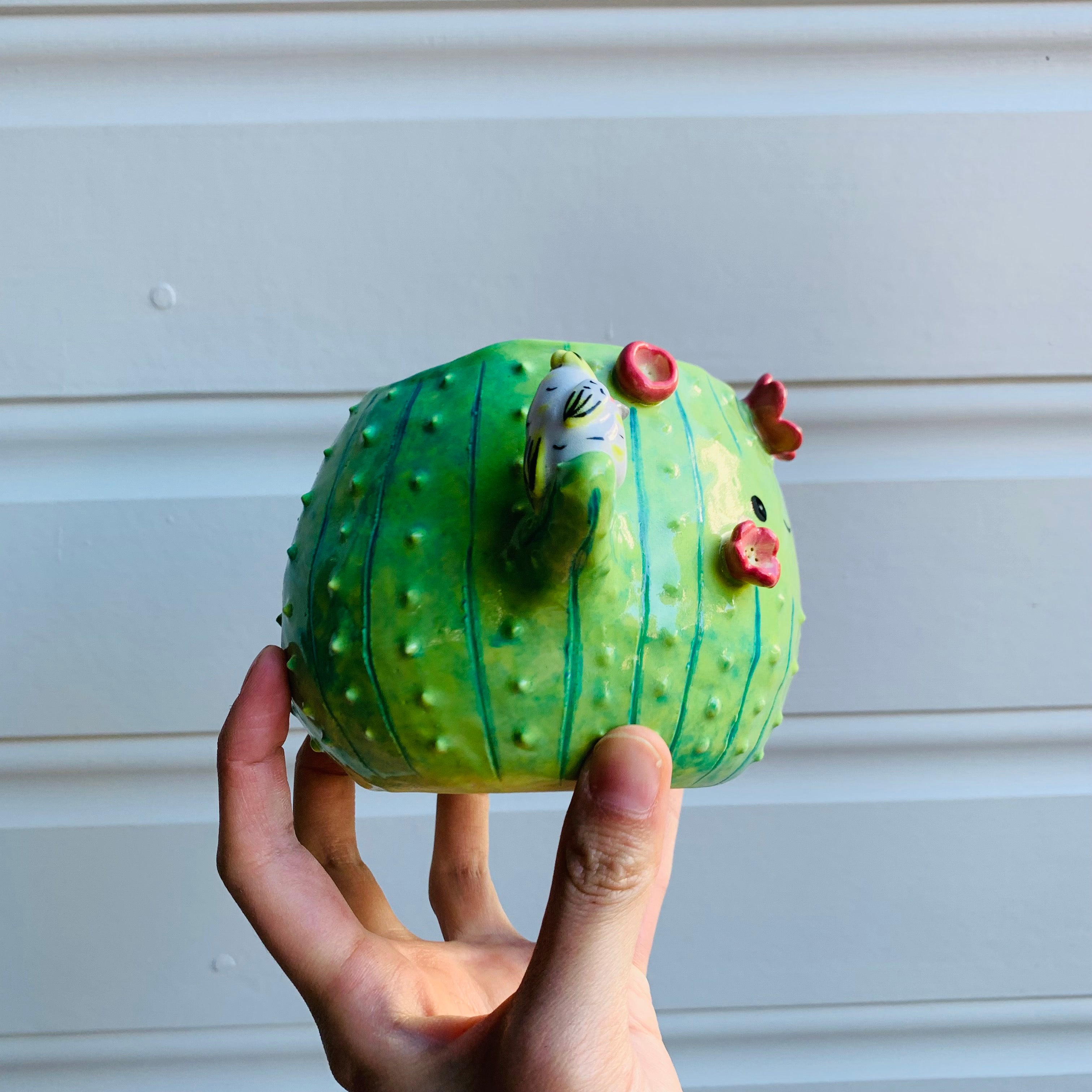 Dark green flowery cactus pot with Aussie bird friends