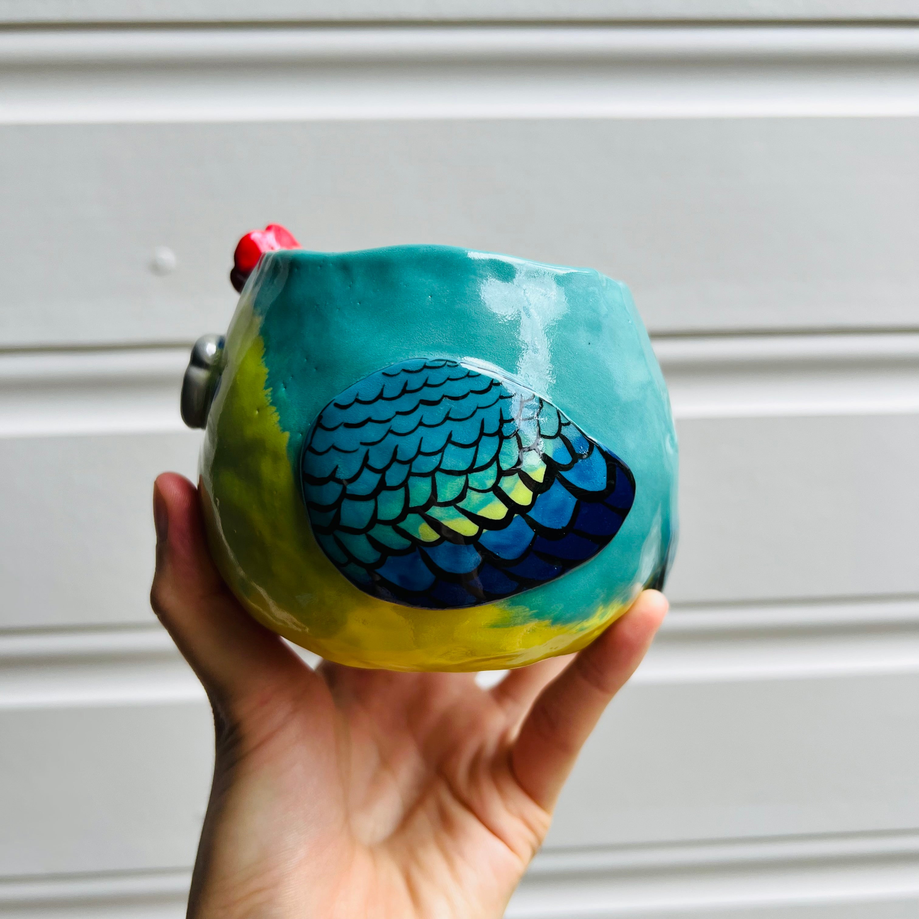 Orange Bellied parrot pot