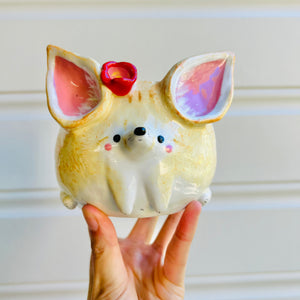 Fennec fox pot