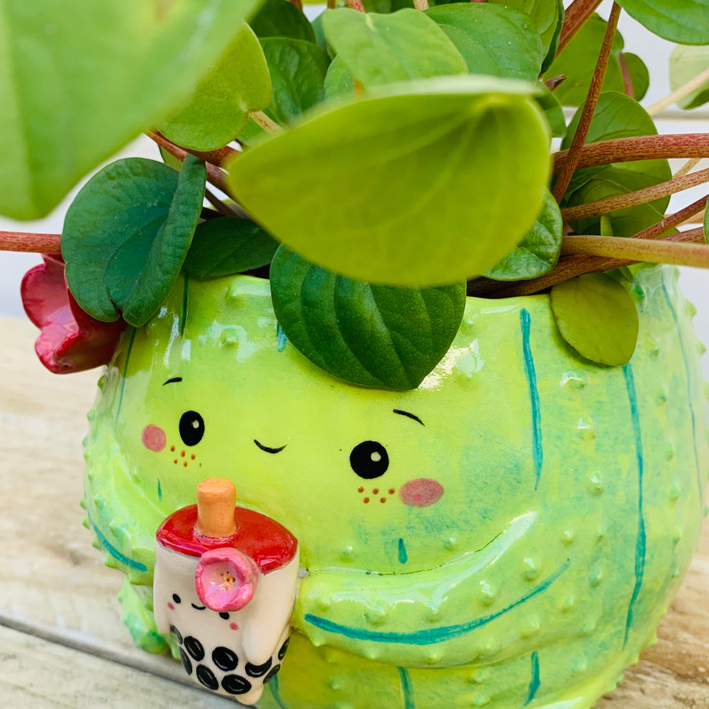 Dark green flowery cactus with bubble tea friend planter, photo 9 of 10