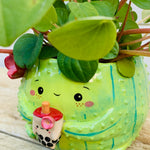 Dark green flowery cactus with bubble tea friend planter