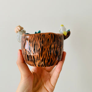 ‘Aussie Hope’ pot