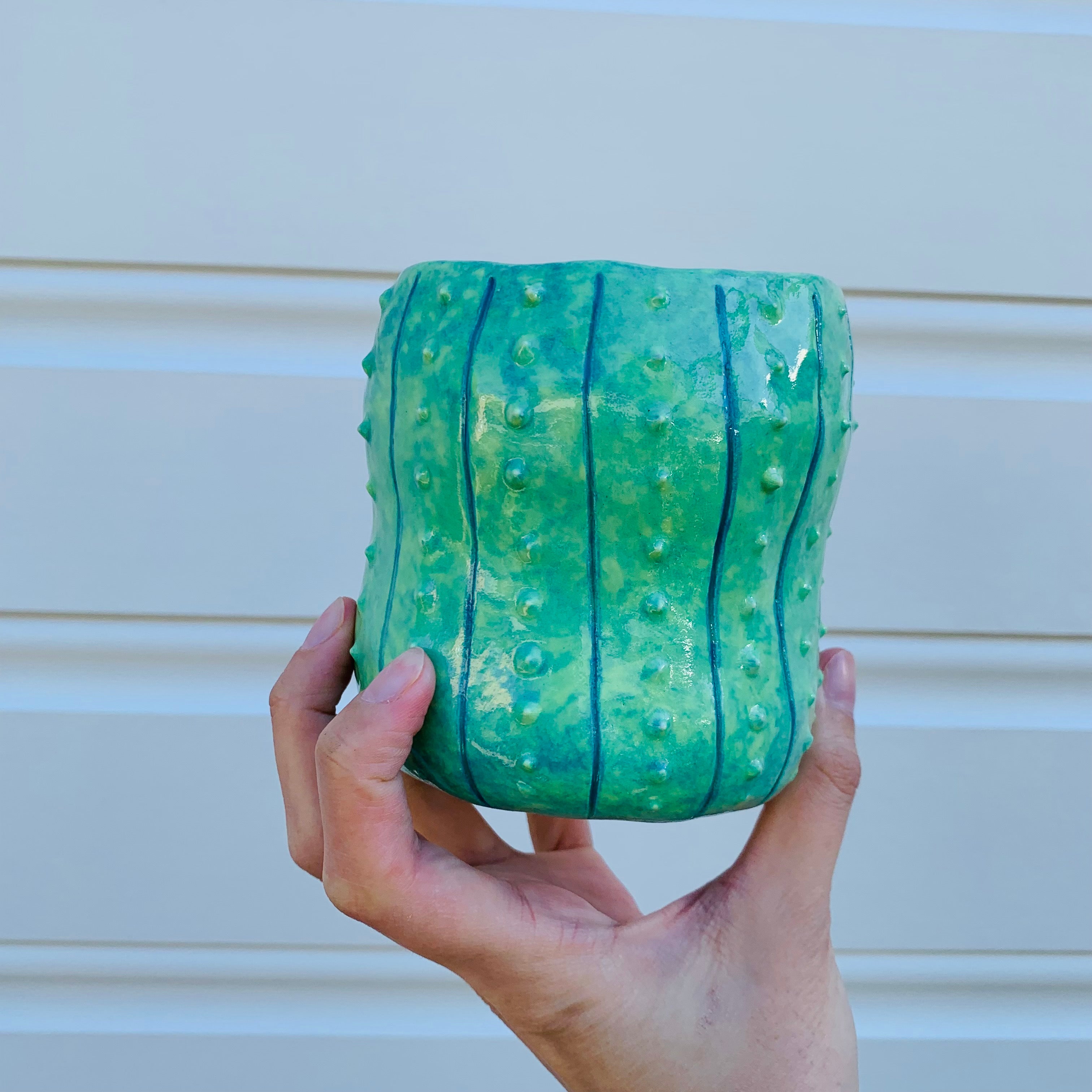 Peanut shape cactus pot planter