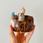 ‘Aussie Hope’ pot