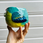 Orange bellied parrot pot