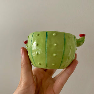 Flowery cactus pot