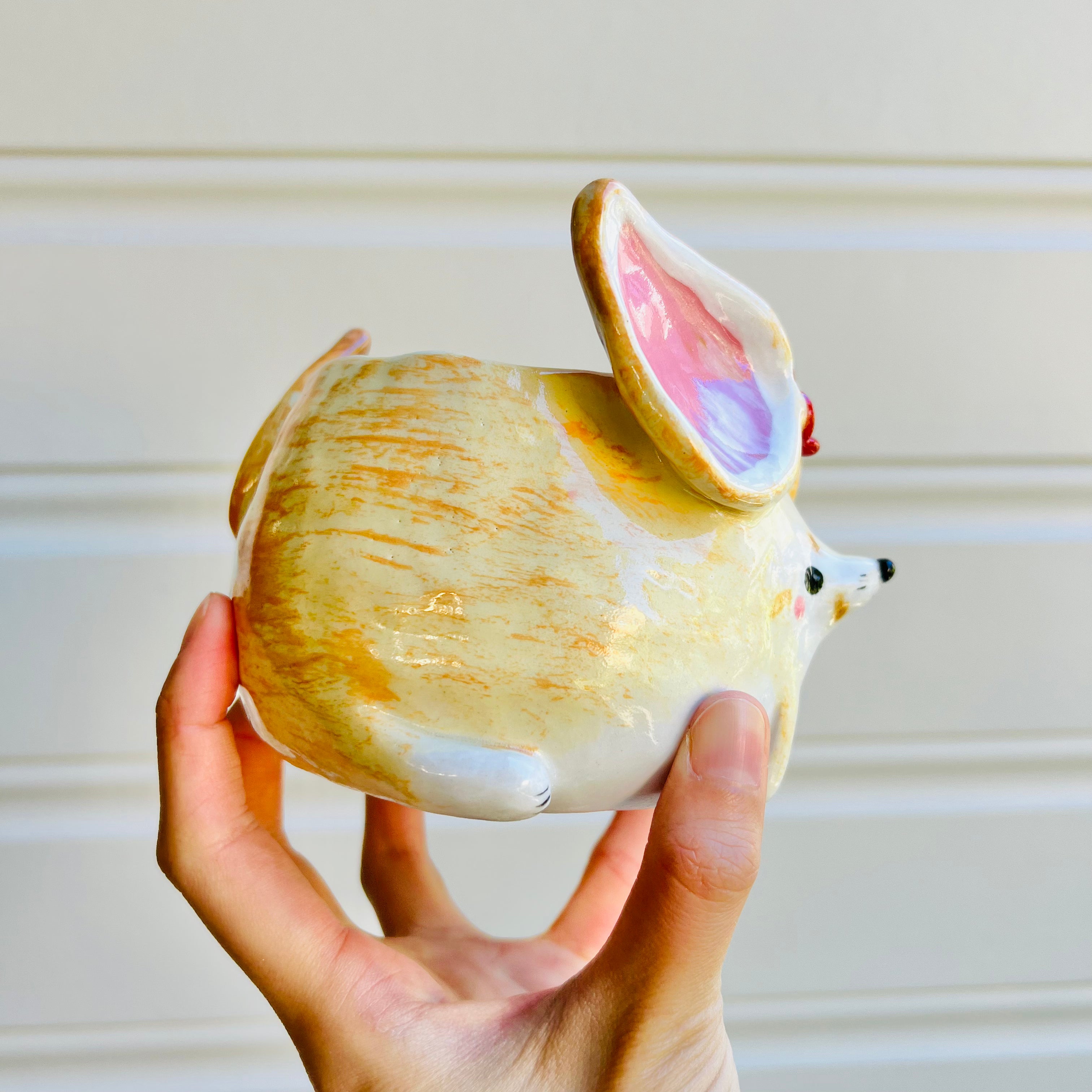 Fennec fox pot