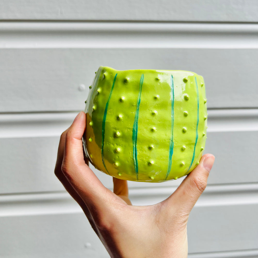Flowery cactus pot with dumpling friend, photo 4 of 5