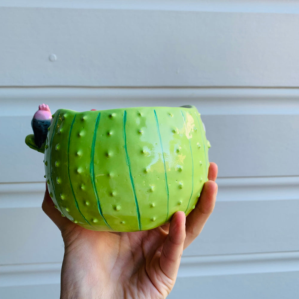 Light green flowery cactus pot with Aussie bird friends, photo 6 of 8