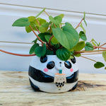 SECONDS - Panda with bubble tea planter