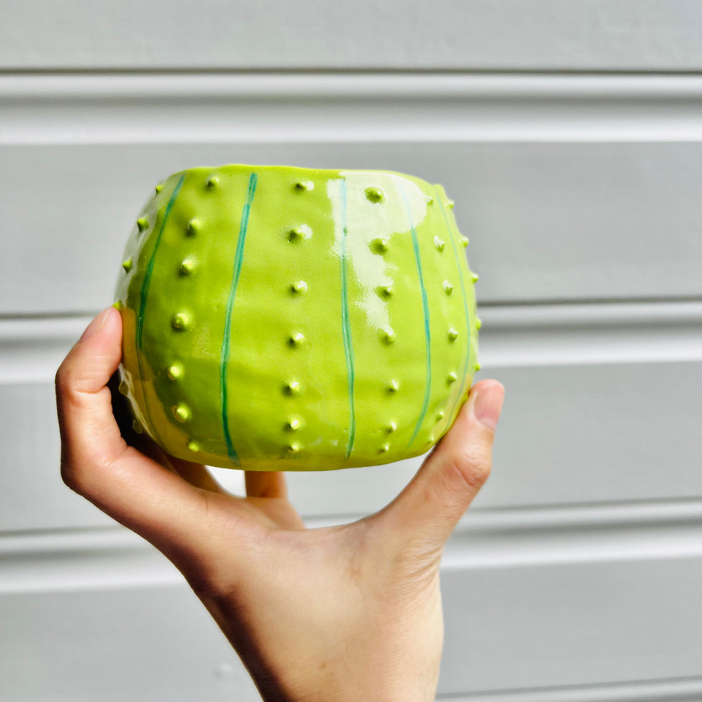 Flowery cactus pot with No face friend, photo 4 of 6