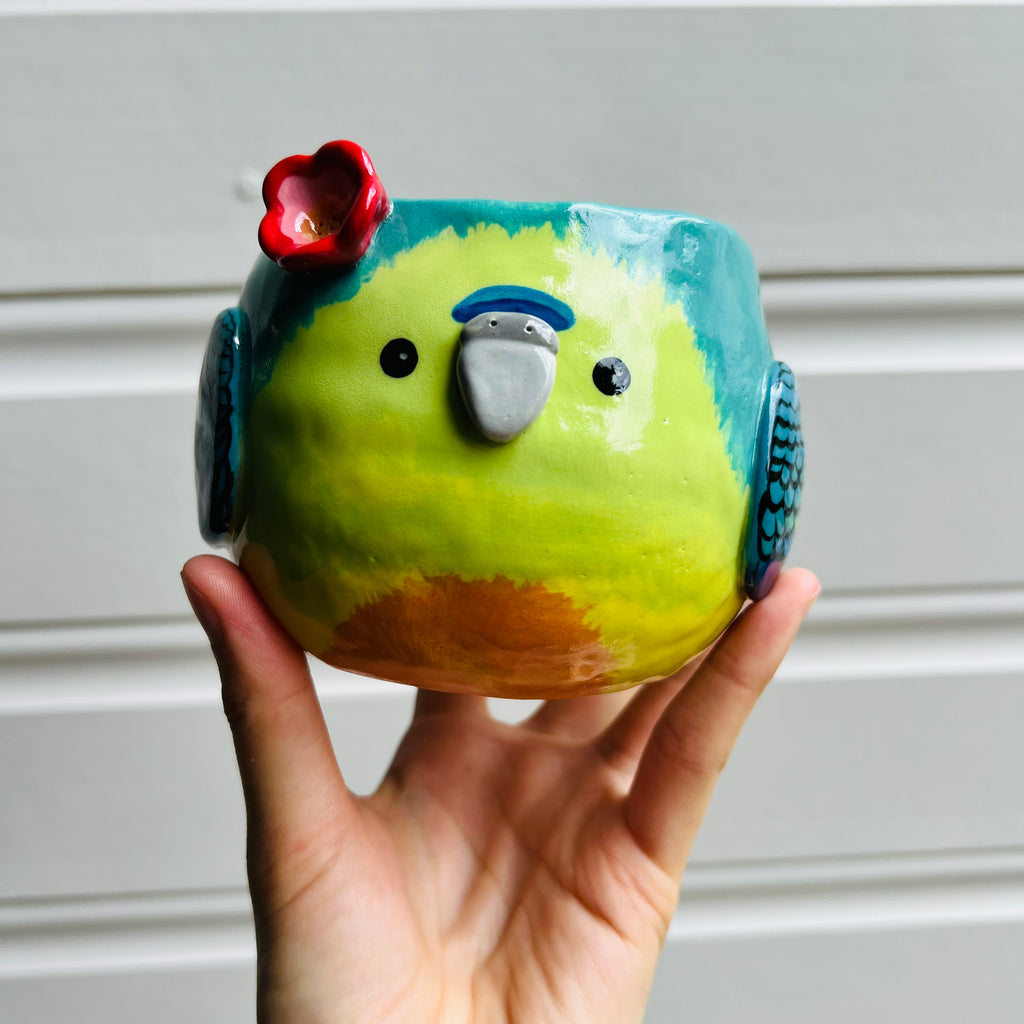 Orange Bellied Parrot pot