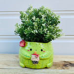 PRE ORDER: Light green flowery cactus with bubble tea planter