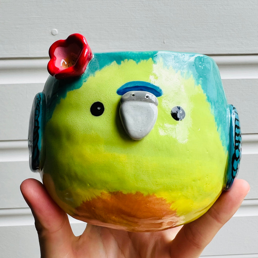 Orange Bellied Parrot pot, photo 5 of 10