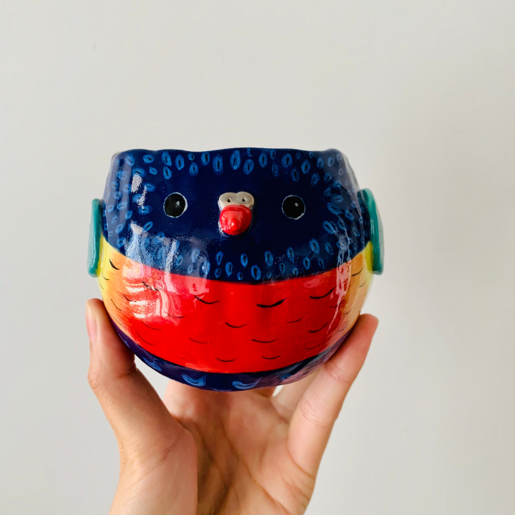 Rainbow lorikeet pot