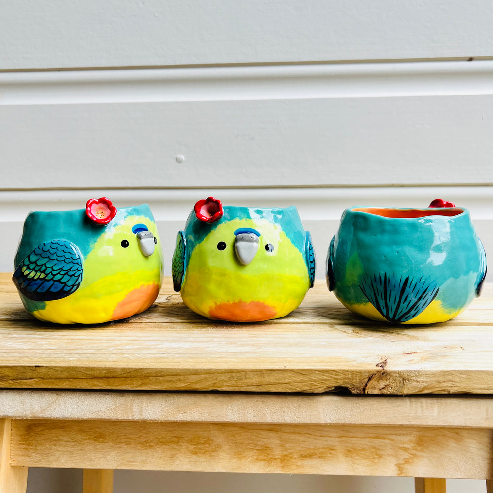 Orange Bellied parrot pot, photo 11 of 11