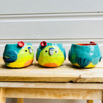 Orange Bellied parrot pot