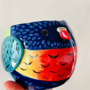 Rainbow lorikeet pot