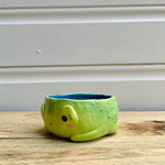 Sunshine Froggo Snack bowl