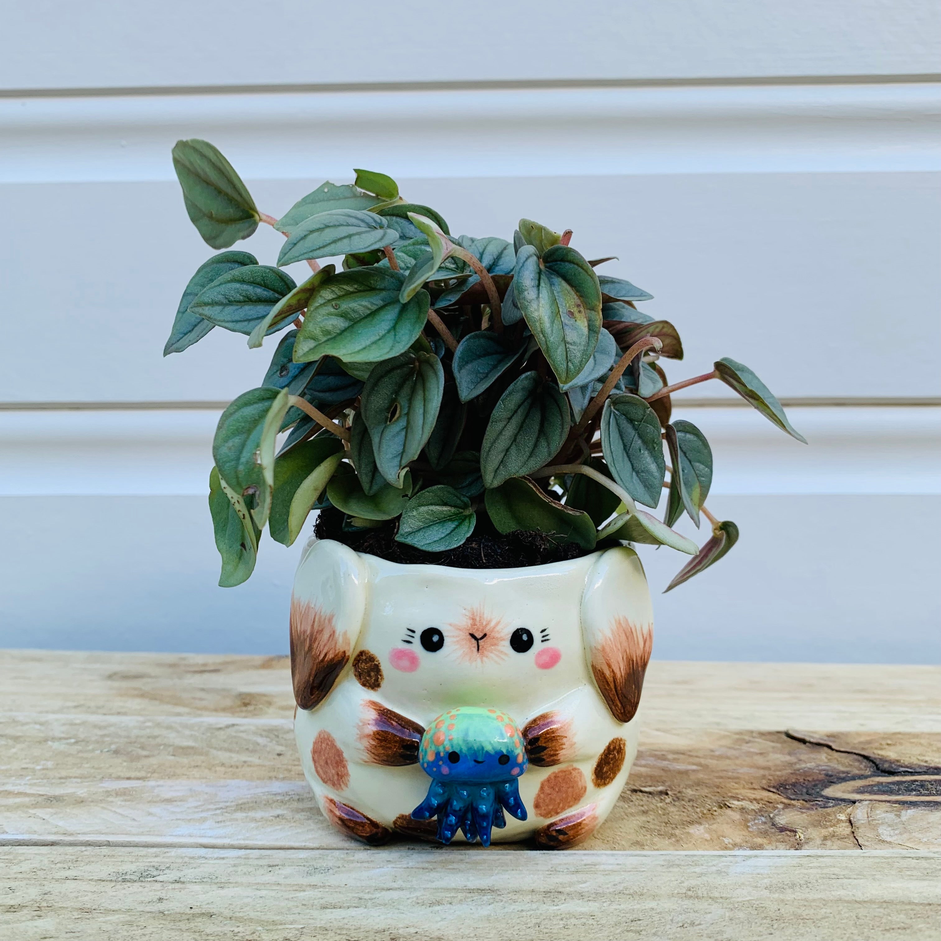 Small bunny with jellyfish friend planter