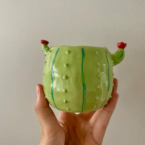 Flowery cactus pot with cat friend